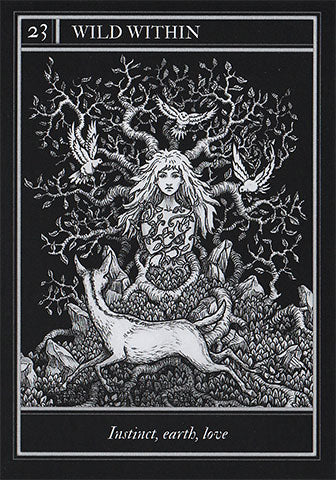 Coven Oracle