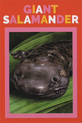 Not Just a Pretty Face