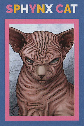 Not Just a Pretty Face