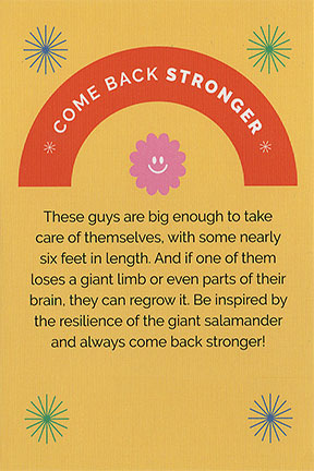 Not Just a Pretty Face