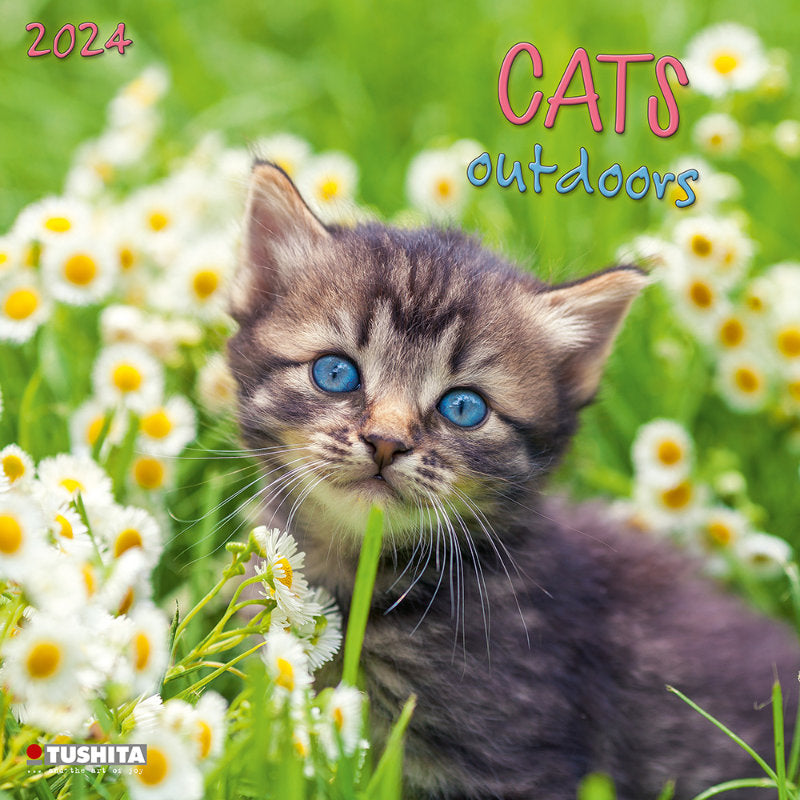 2024 Cats Outdoors Calendar Wall