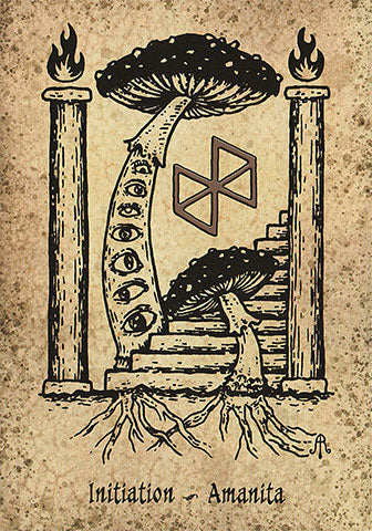 Runes and Roots Oracle