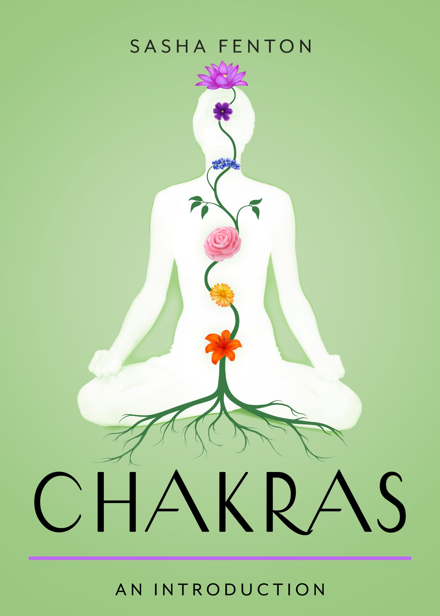 Chakras an Introduction