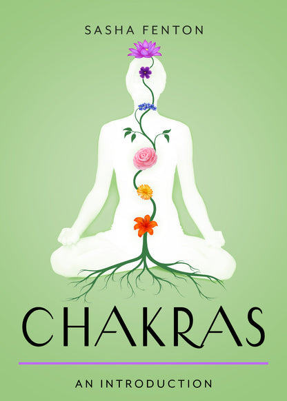 Chakras an Introduction