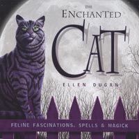 Enchanted Cat