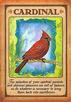 Messages from Your Animal Spirit Guides