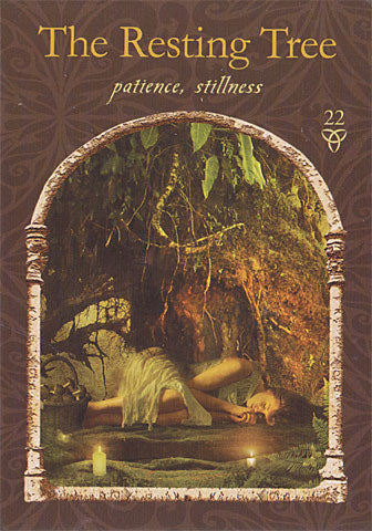 Wisdom of the Hidden Realms Oracle Cards