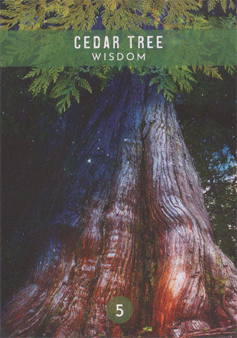 Messages from the Spirits of Nature Oracle