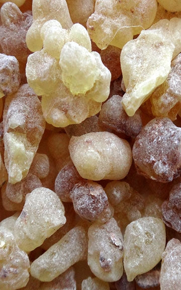 Frankincense Resin Raw Herb - 4 oz.