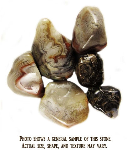 Fossil Agate - 1 Stone