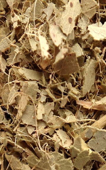 Eucalyptus Raw Herb - 1 oz.
