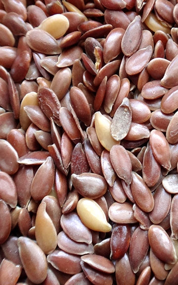 Flax Seed Raw Herb - 1 oz.