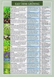 Herb Growing Laminated Info Card – Goddess Isis Books & Gifts