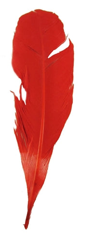 Red Feather Quill