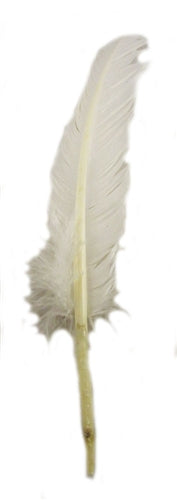 White Feather Quill
