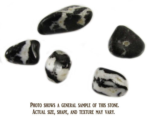 Zebra Stone - 1 Stone